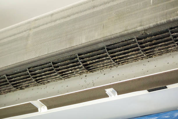 Best Air Duct Cleaning Near Me  in New Pek, IN